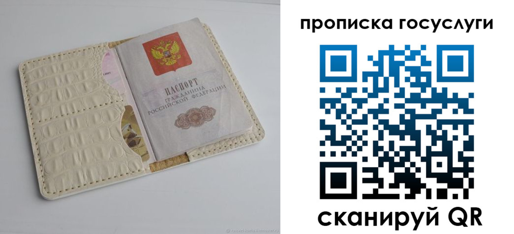 прописка в Гвардейске