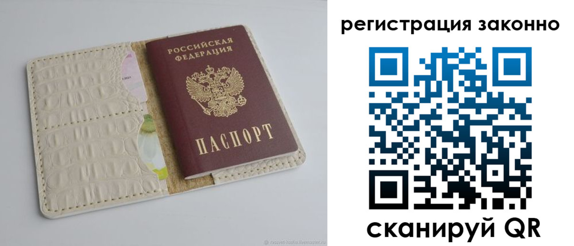 прописка штамп в Гвардейске